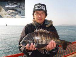 神戸市立平磯海づり公園　チヌ　記録賞！