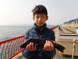 【27日】平磯で立派なアイナメ