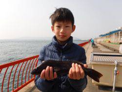 【27日】平磯で立派なアイナメ