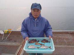 神戸市立須磨海づり公園　落し込みでガシラ、…