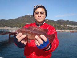 神戸市立須磨海づり公園　コブダイ