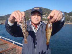 神戸市立須磨海づり公園　投げでアイナメ