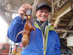 須磨海釣り公園　タコテンヤでマダコ300g…