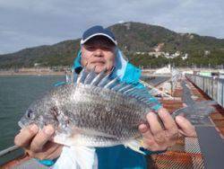 須磨海釣り公園　投げ釣りでキビレチヌ39cm