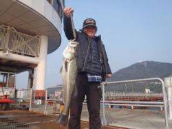 神戸市立須磨海づり公園 シラサでスズキ68cm！