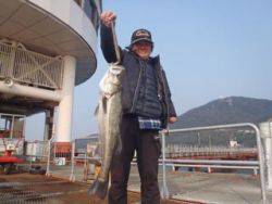 神戸市立須磨海づり公園 シラサでスズキ68…