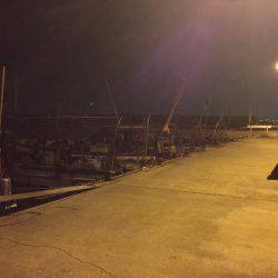 久しぶりの泉佐野