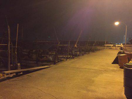 久しぶりの泉佐野