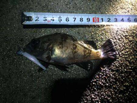 雨上がりコメバリング