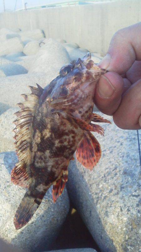 ちょこっと釣り