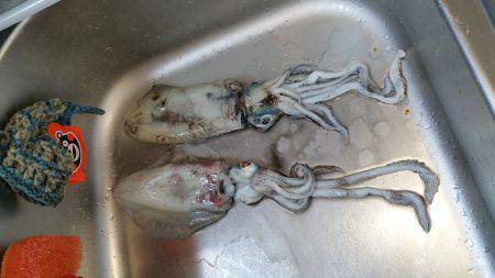 せんしゅうのリベンジ