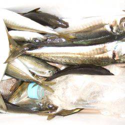 ころころ変わる天気に苦戦