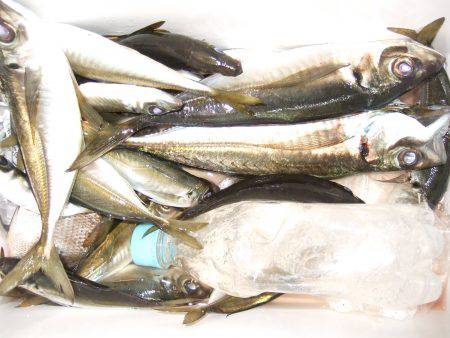 ころころ変わる天気に苦戦