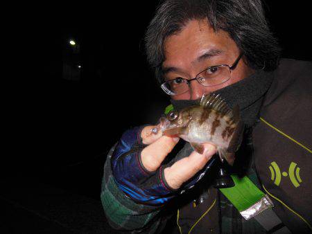 ちんまいけど楽しい♪