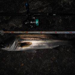 メタルバイブでヒット♪