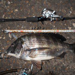 メタルバイブでチヌ＆シーバス♪