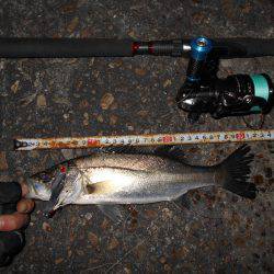 サイズダウン…。