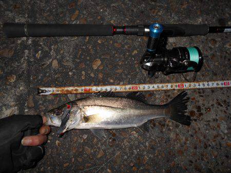 サイズダウン…。