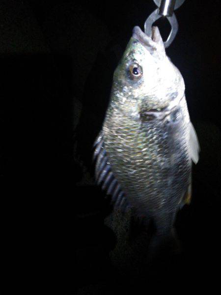 みんなで底ずるずる！