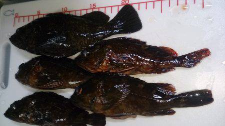 忙しさの中の癒し