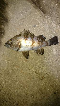 よくなってきたかな？