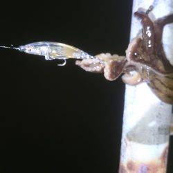 久しぶりの釣り…