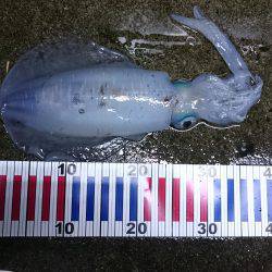 雨の中リベンジ