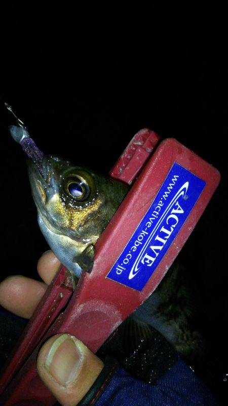 爆風に向かって３０分１本しょーぶ！(笑)