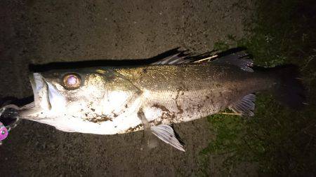 マイクロパターン