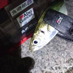 ジアイのタイミング