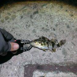 サイズが伸びない……