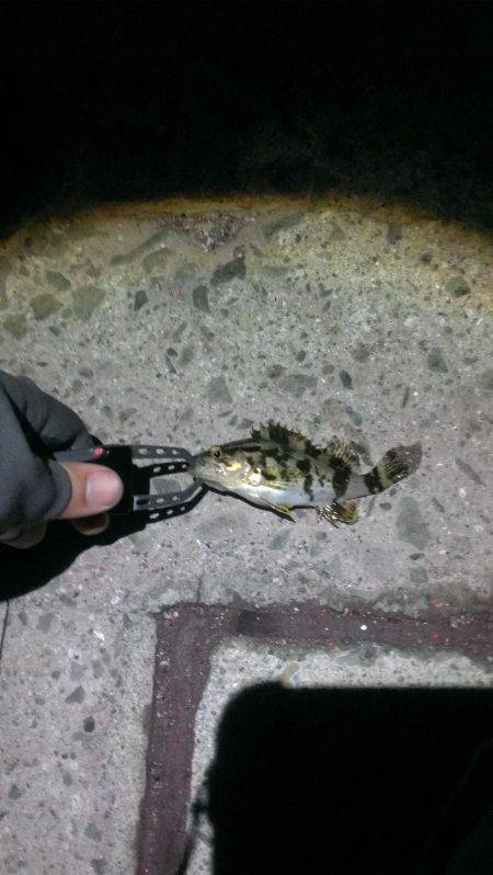 サイズが伸びない……