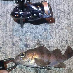 最近は調子良いです♪♪