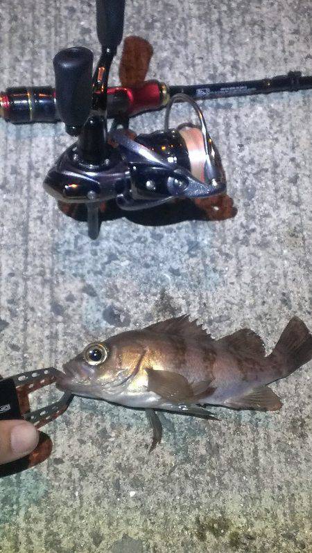 最近は調子良いです♪♪