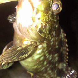 とりあえず連敗脱出