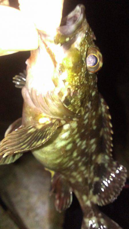 とりあえず連敗脱出