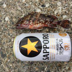 激渋ライトゲーム