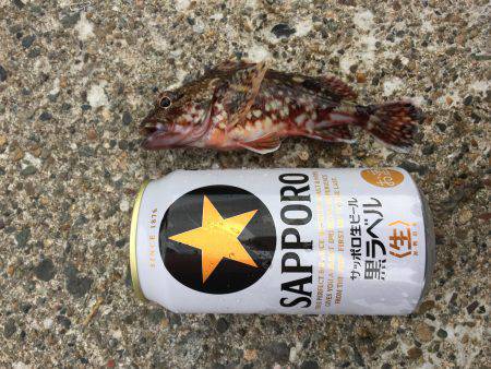 激渋ライトゲーム