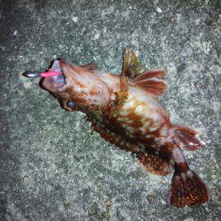 爆風の中めばりんぐ