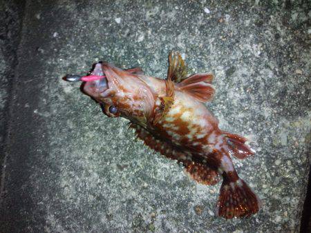 爆風の中めばりんぐ