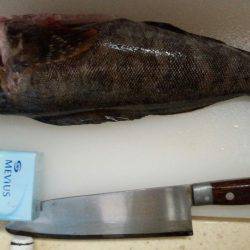 投げ釣りでﾎﾟﾝ!!