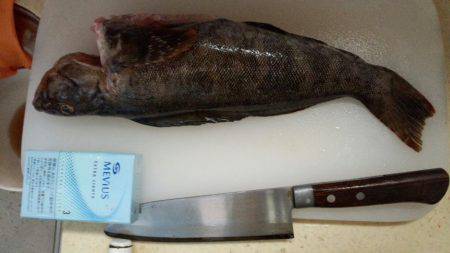 投げ釣りでﾎﾟﾝ!!