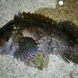 暖かい1日でした