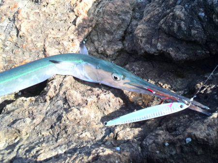 頑張ったんやけど…