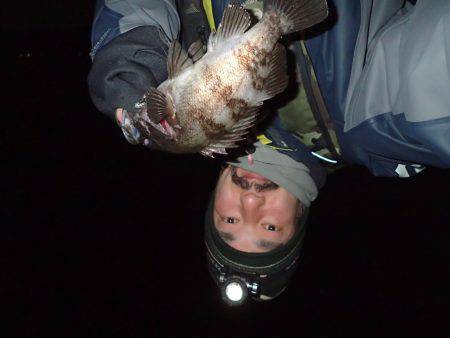 プラッキングメバルでウハウハ