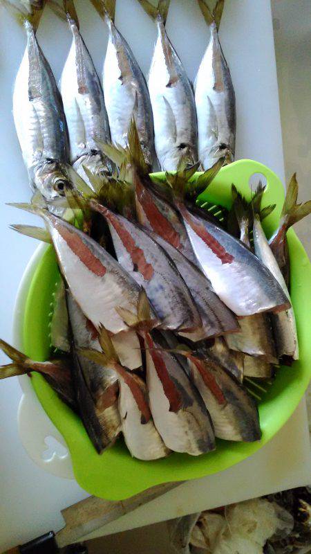 アジが食べたくて…今年初の翼港へ！