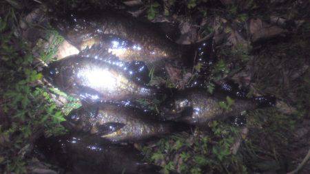 アミパターンのショートバイト多発で苦戦