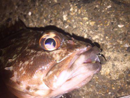 寒かったですわ〜