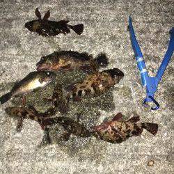 やっぱまだ寒い