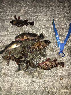 やっぱまだ寒い